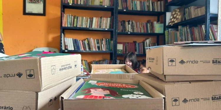 Livros do Programa Nacional do Livro e do Material Didático (PNLD) chegam às bibliotecas do Tocantins, renovando acervos e ampliando o acesso à leitura - Foto: Karla Rayane/Governo do Tocantins