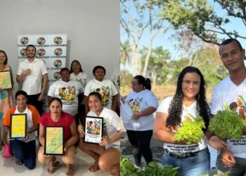 Créditos: Reprodução Redes Sociais