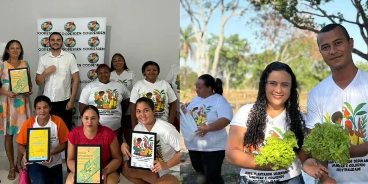 Créditos: Reprodução Redes Sociais