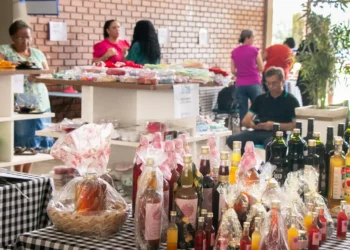 A Feira da Sustentabilidade acontece no dia 2 de dezembro, no hall de entrada da Setas, das 9 às 13h - Carlessandro Souza/Governo do Tocantins
