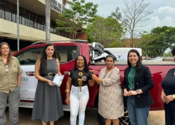 Associação de artesãos de Mateiros recebeu caminhonete de apoio às atividades de extrativismo e beneficiamento - Divulgação/Governo do Tocantins