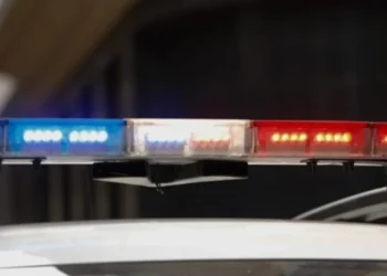 Foto: Reprodução/ Alan Pedro/Arquivo DC