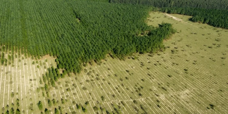 Como dobrar a produção de biocombustíveis no país sem desmatar áreas?