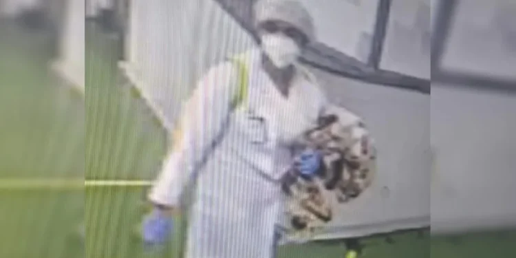 Médica que sequestrou bebê é presa suspeita de homicídio em Goiás