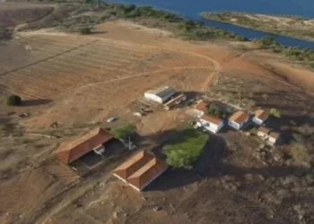 Reprodução/@acaodoanobrasil