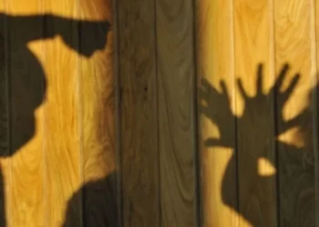 Foto: Agência Brasília