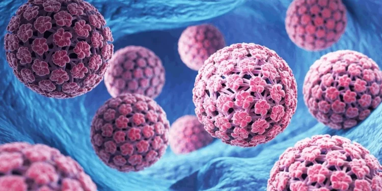 64% dos homens não sabem que o HPV pode causar câncer, mostra estudo