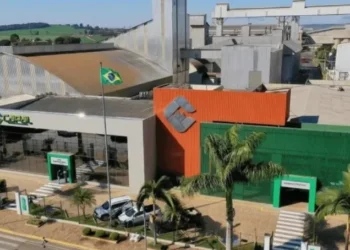 Fundada em 1960, a Capal conta com 3,8 mil produtores associados — Foto: Globo Rural