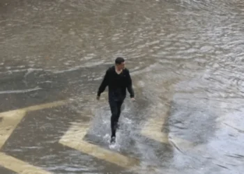 Fábio Vieira/ Especial Metrópoles