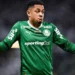 Palmeiras dispara nas chances de título após vencer Santos; confira