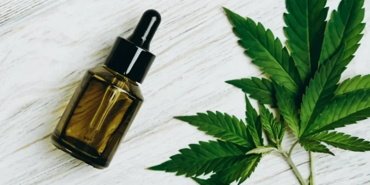 Anvisa proíbe venda de produtos de cannabis sem autorização