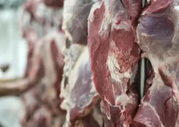 No acumulado do ano, as exportações de carne bovina atingiram 2,79 milhões de toneladas, com receita de US$ 14,31 bilhões — Foto: Freepik