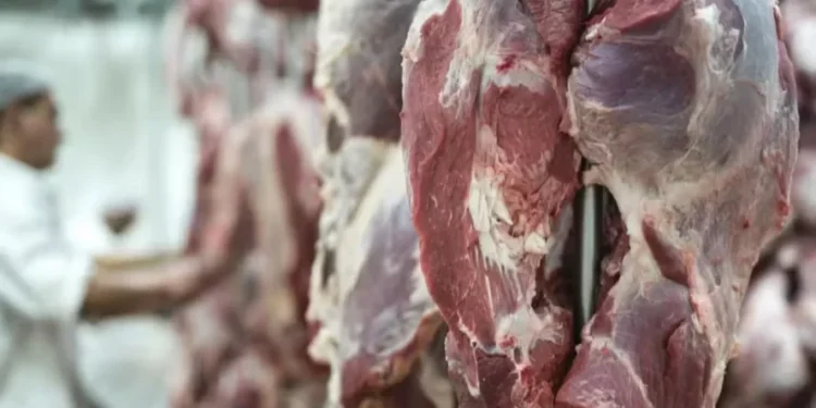 No acumulado do ano, as exportações de carne bovina atingiram 2,79 milhões de toneladas, com receita de US$ 14,31 bilhões — Foto: Freepik