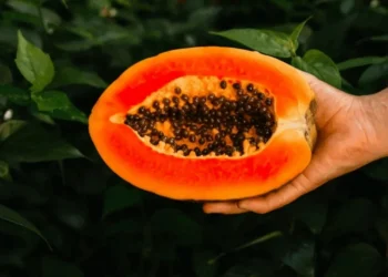 Anastasiya Mihailovna/Gettyimages