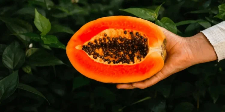 Anastasiya Mihailovna/Gettyimages