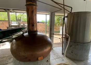 Estruturas foram encontradas em Combinado, região sudeste do estado — Foto: Mapa/ Divulgação