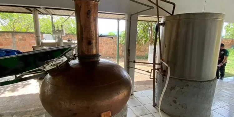 Estruturas foram encontradas em Combinado, região sudeste do estado — Foto: Mapa/ Divulgação