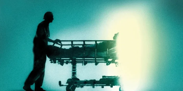 Foto: Westend61 / Getty Images