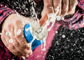 Foto: simonkr / Getty Images