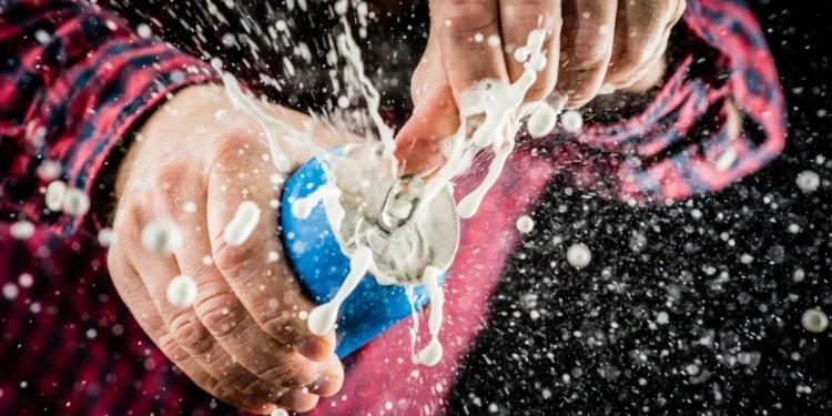 Foto: simonkr / Getty Images