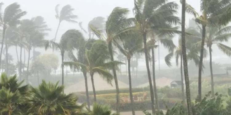 Foto: Reprodução/NSC Total