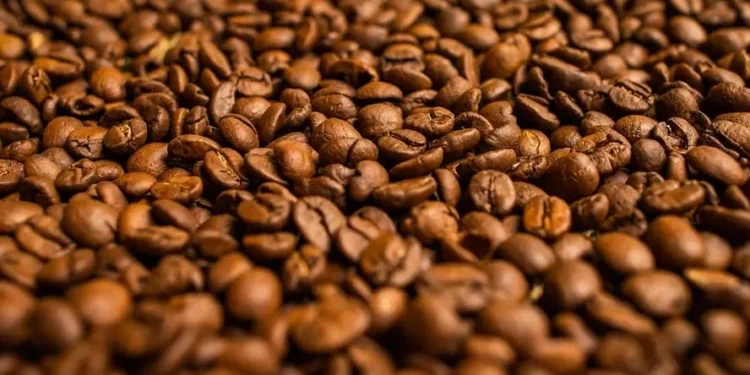 O impulso nos preços do café aconteceu devido aos sinais de menor oferta global — Foto: Wenderson Araujo/CNA