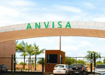 Rmcarvalho/Getty Images