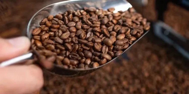 O Brasil é o maior fornecedor de café aos Estados Unidos — Foto: Wenderson Araújo/CNA