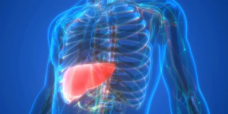 magicmine/Getty Images