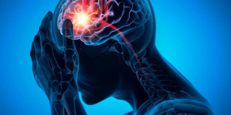 Foto: peterschreiber.media/Getty Images