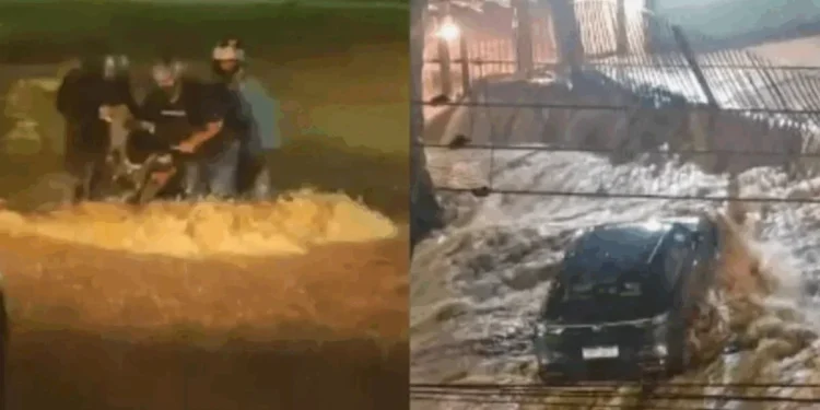 Reprodução/TopMídiaNews