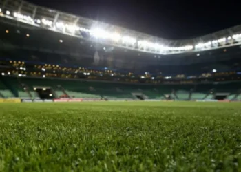 Alexandre Schneider/Getty Images)