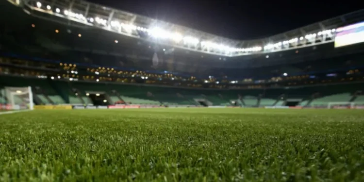 Alexandre Schneider/Getty Images)