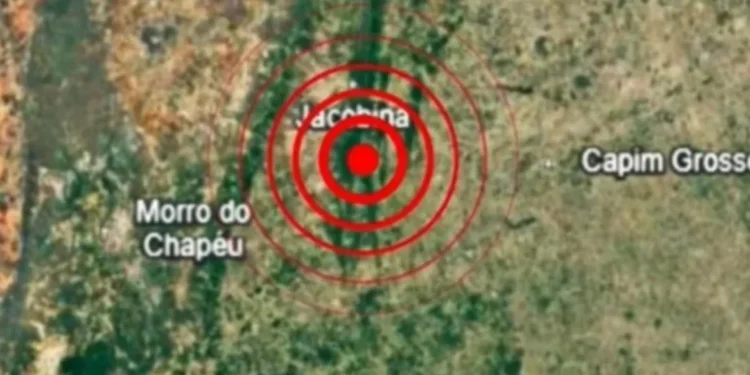 Reprodução/Rede Sismográfica Brasileira