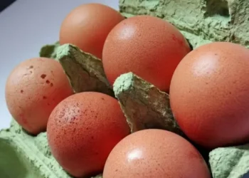 Vendas externas de ovos mostraram reação em outubro — Foto: Pixabay