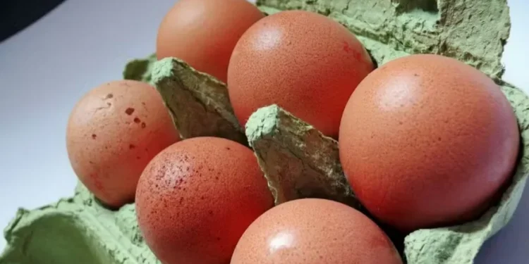 Vendas externas de ovos mostraram reação em outubro — Foto: Pixabay