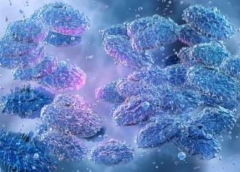 Foto: Ruslanas Baranauskas/Science Photo Library/ Getty Images