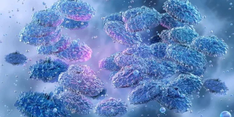 Foto: Ruslanas Baranauskas/Science Photo Library/ Getty Images