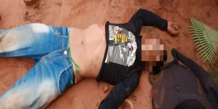 Reprodução/Conselho Indigenista Missionário (CMI)