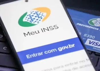 Pedido de adesão é feito pelo aplicativo do INSS — Foto: INSS/Divulgação