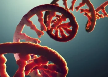 Foto: Christoph Burgstedt/Science Photo Library / Getty Images