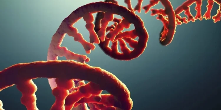 Foto: Christoph Burgstedt/Science Photo Library / Getty Images