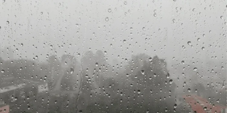 Foto: Arquivo Pessoal/Rodrigo Tammaro