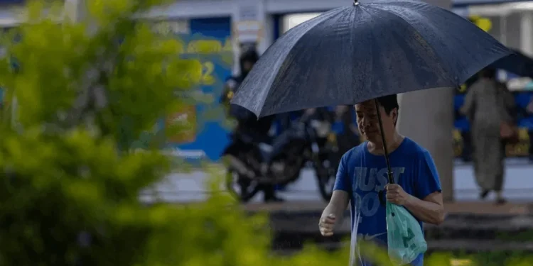 Foto: Vinícius Schmidt/Metrópoles