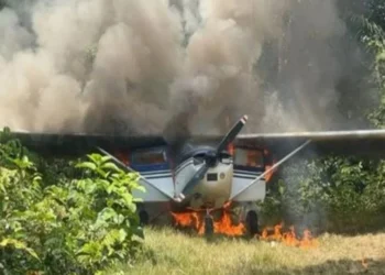 Foto: FAB/Reprodução