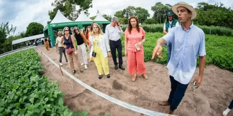 Mais de 20 mil pessoas passaram pela Agrizone — Foto: Saulo Coelho / divulgação