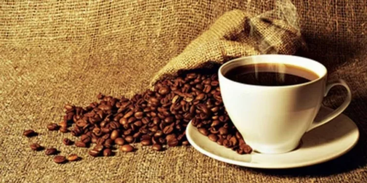 Dois terços dos adultos americanos bebem café todos os dias — Foto: ANPr/Divulgação