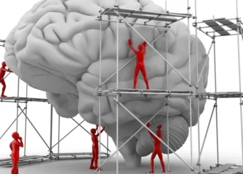 Foto: PASIEKA / Getty Images