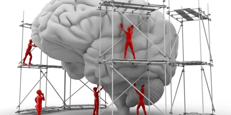 Foto: PASIEKA / Getty Images