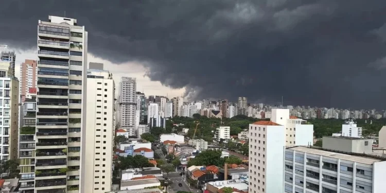 Foto: William Cardoso/ Metrópoles